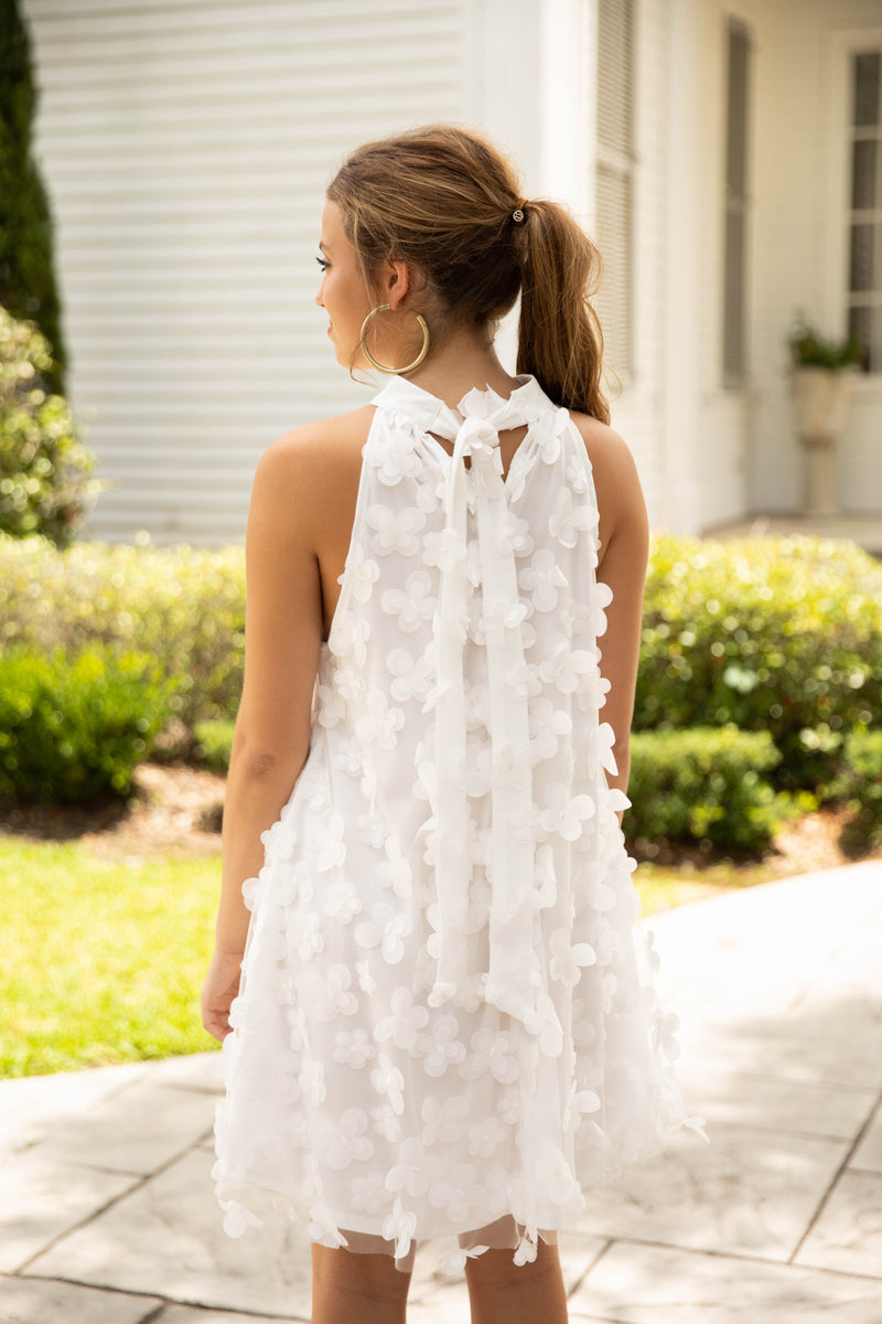 Perfectly Dainty Dress